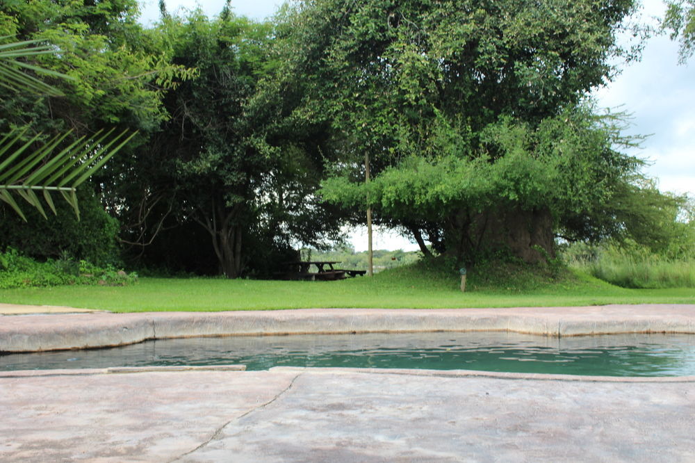 Thebe River Safaris Kasane Kültér fotó